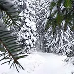 Kuca Za Odmor Lea - Casa vacanze