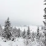 Kuca Za Odmor Lea - * Ravna Gora
